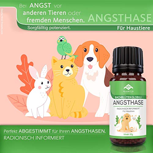 PHARMA HEALTH Conejo de ansiedad Globuli | ansiedad | Nochevieja | visita al veterinario | permanecen solos | 10 g