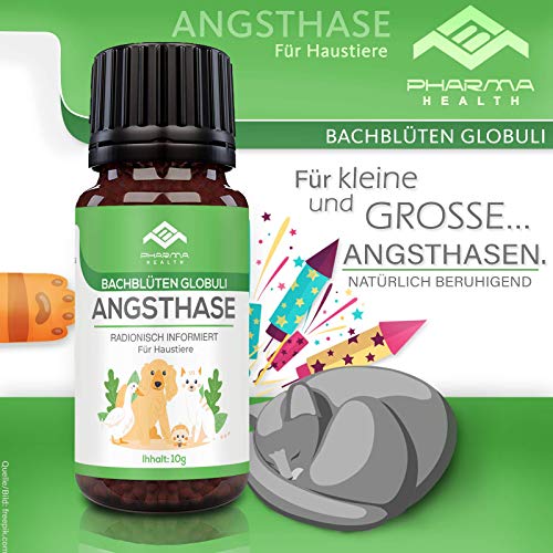 PHARMA HEALTH Conejo de ansiedad Globuli | ansiedad | Nochevieja | visita al veterinario | permanecen solos | 10 g