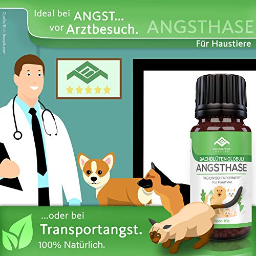 PHARMA HEALTH Conejo de ansiedad Globuli | ansiedad | Nochevieja | visita al veterinario | permanecen solos | 10 g