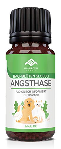 PHARMA HEALTH Conejo de ansiedad Globuli | ansiedad | Nochevieja | visita al veterinario | permanecen solos | 10 g