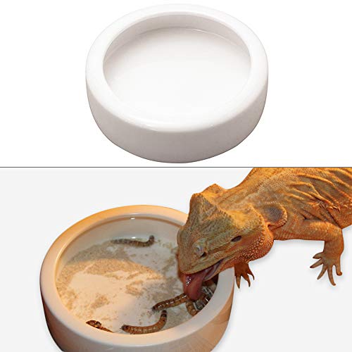 Plato de cerámica para reptiles para gusanos, a prueba de escape, para animales pequeños, color blanco (S)