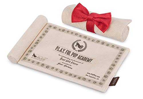 P.L.A.Y. PET LIFESTYLE AND YOU – Juguete de peluche para perro, colección School – Sombrero de Graduación & Scroll/Cierre