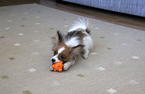 PlayfulSpirit Pelota de Goma Resistente y con Rebote: Juguete de Masticar para Cachorros en Dentición, Juguete Impresionante para Perros más Pequeños y Medianos para Jugar, Lanzar y Atrapar