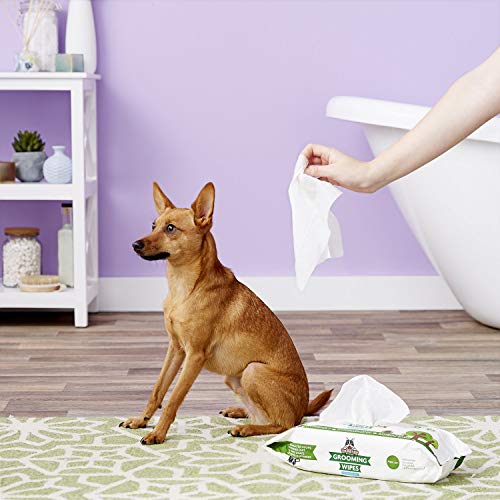 Pogi's Grooming Wipes - Toallitas húmedas - 400 toallitas desodorantes para Perros - Aroma de té Verde, Naturales, Extra Grandes, biodegradables