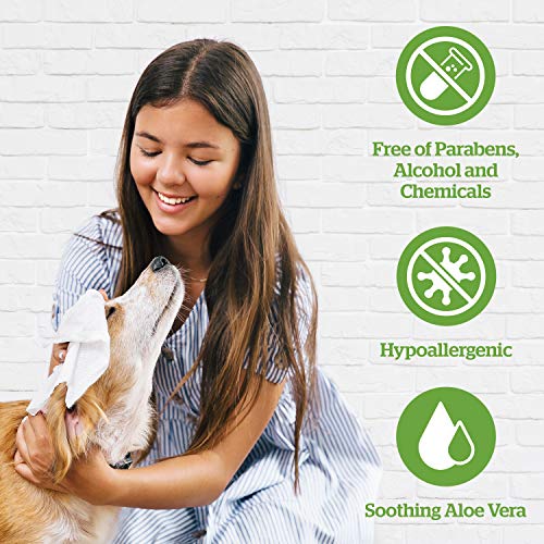 Pogi's Grooming Wipes - Toallitas húmedas - 400 toallitas desodorantes para Perros - Aroma de té Verde, Naturales, Extra Grandes, biodegradables