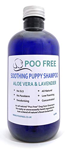 POO FREE Natural - CHAMPÚ CALMANTE para Cachorros - con Aloe Vera Y Lavanda - 250ml Sulfatos, Sin Parabenos, Sin Silicona. Concentrado, Limpia, Calma, Hidrata, Alivia.