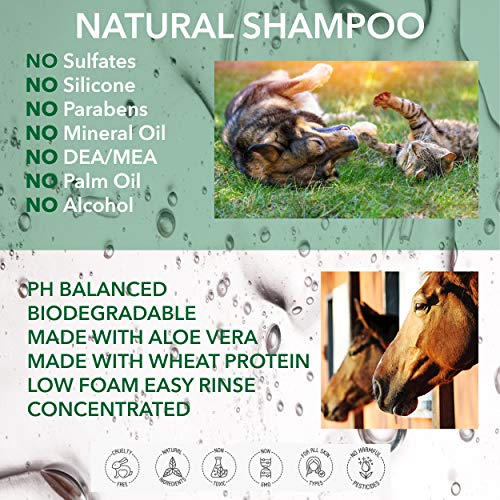 POO FREE Natural - CHAMPÚ para Perros - con Aloe Vera, CITRONELA & NEEM - 250ml Sulfatos, Sin Parabenos, Sin Silicona. Concentrado, Limpia, Calma, Hidrata, Alivia.