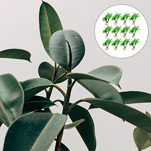 POPETPOP 12 Unids Miniatura Palmera Plantas de Tanque de Peces Resina Plantas de Acuario Decoración del Acuario Suministros para Mascotas para Pecera Acuario