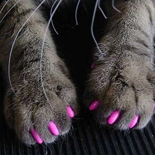 POPETPOP 20 Unids Pet Cat Kitty Garras Suaves Caps Control Soft Paws Cat Nails Caps Cubre Talla S (Rosy)
