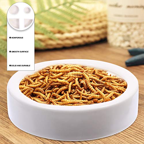 POPETPOP 4 Unids Reptil Gusano Cuenco Tortuga Lagarto Serpiente Gecko Pequeño Cuenco Triangular Redondo Reptil Comida Soporte de Agua Plato de Alimentación para Tienda de Hogar