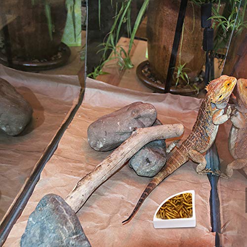 POPETPOP 4 Unids Reptil Gusano Cuenco Tortuga Lagarto Serpiente Gecko Pequeño Cuenco Triangular Redondo Reptil Comida Soporte de Agua Plato de Alimentación para Tienda de Hogar