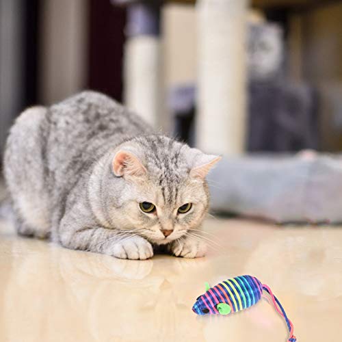 POPETPOP 6 Unidades de Juguetes de Ratón para Gatos Juguetes de Ratón Peludo Juguete para Gatos Juego Interactivo para Hacer Ejercicio