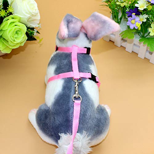 POPETPOP Correa de Arnés de Conejo para Cachorro Gatito Conejo Mascota Pequeña (Color Aleatorio)
