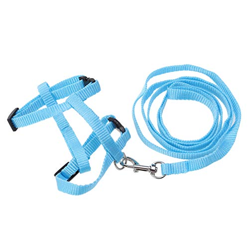POPETPOP Correa de Arnés de Conejo para Cachorro Gatito Conejo Mascota Pequeña (Color Aleatorio)