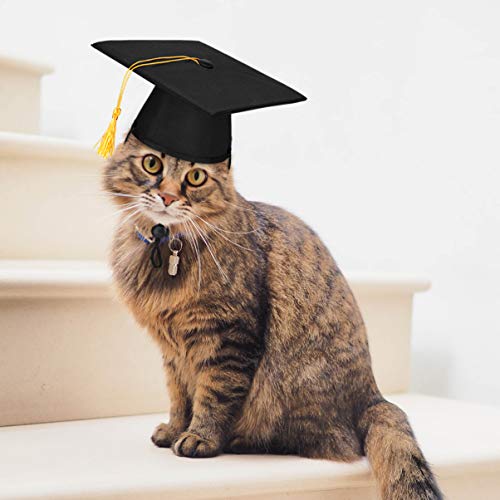 POPETPOP Mascota Dr. Gorra Personalizada Divertida Gato Cosplay Sombrero Cachorro Doctor Sombrero Perro Graduación Gorra Animal Juguete Gorra para Cachorro Perro Mascota