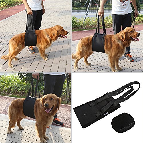 Portable Perro Levantamiento Arnés de Apoyo - Perro Ayuda con Piernas Delanteras o Traseras Débiles Levántate Camina y Mascotas Heridas o Ancianas (Tamaño: XL)