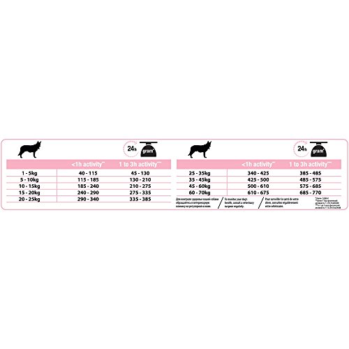 Pro Plan - Medium Adult Sensitive Skin con Optiderma, Rico en salmón – 7 kg – Pienso para Perros Adultos de tamaño Mediano