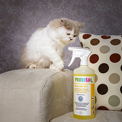 PROBISA - Neutralizador de olores para orina de gatos, perros, roedores y mascotas (concentrado da 1000 litros de producto de limpieza orgánico listo para usar)
