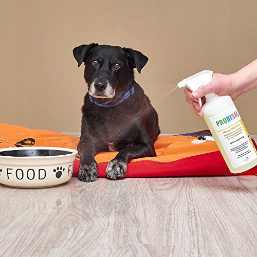 PROBISA - Neutralizador de olores para orina de gatos, perros, roedores y mascotas (concentrado da 1000 litros de producto de limpieza orgánico listo para usar)