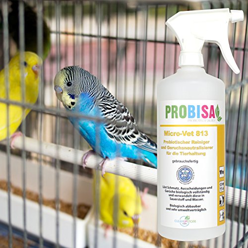 PROBISA - Neutralizador de olores para orina de gatos, perros, roedores y mascotas (concentrado da 1000 litros de producto de limpieza orgánico listo para usar)