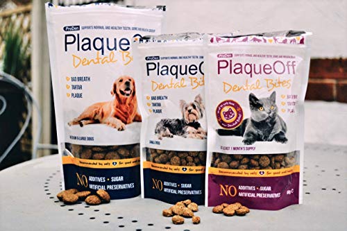ProDenPlaqueOff PLAQUEOFF Dental CROQ Gato 60GR