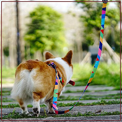 PROFTI Everking - Arnés para perro en 3 tamaños diferentes, fácilmente ajustable, multicolor, resistente, correa a juego y collar disponibles (multicolor, rojo, azul y verde)