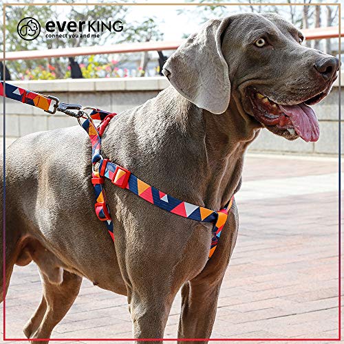 PROFTI Everking - Arnés para perro en 3 tamaños diferentes, fácilmente ajustable, multicolor, resistente, correa a juego y collar disponibles (multicolor, rojo, azul y verde)
