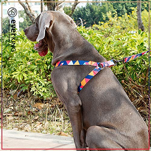 PROFTI Everking - Arnés para perro en 3 tamaños diferentes, fácilmente ajustable, multicolor, resistente, correa a juego y collar disponibles (multicolor, rojo, azul y verde)