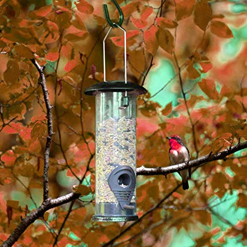 Prom-note Comedero Pájaros Silvestres Ventana Comedero Colgante, Parte Superior E Inferior De Metal No Es Fácil De Envejecer Fuerte Y Robusto Alimentación Conveniente, para Exteriores Y Jardines