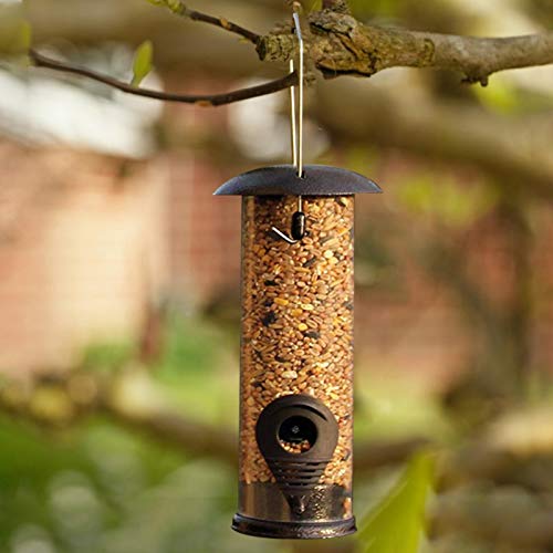 Prom-note Comedero Pájaros Silvestres Ventana Comedero Colgante, Parte Superior E Inferior De Metal No Es Fácil De Envejecer Fuerte Y Robusto Alimentación Conveniente, para Exteriores Y Jardines