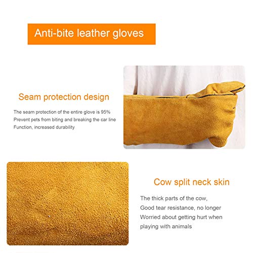 Protector de Manos Guantes de Seguridad Anti-mordida, Guante Ultra Largo de Cuero espesante antiarañazos, para Bull Terrier Perro Gato Pájaro Serpiente Loro Lagarto Salvaje