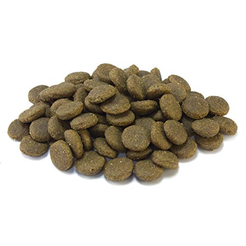 Puppy Junior Maxi / Pollo y Arroz 15 kg