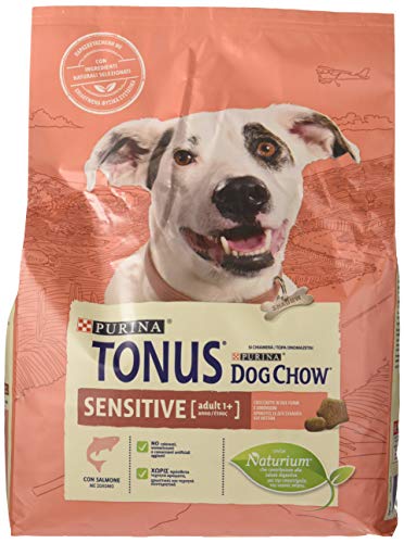 Purina - Croquetas (10,3 kg)