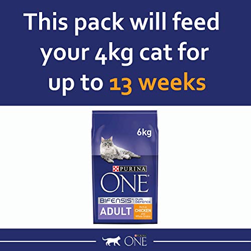 Purina One - Comida para gato seco de adulto, 6kg