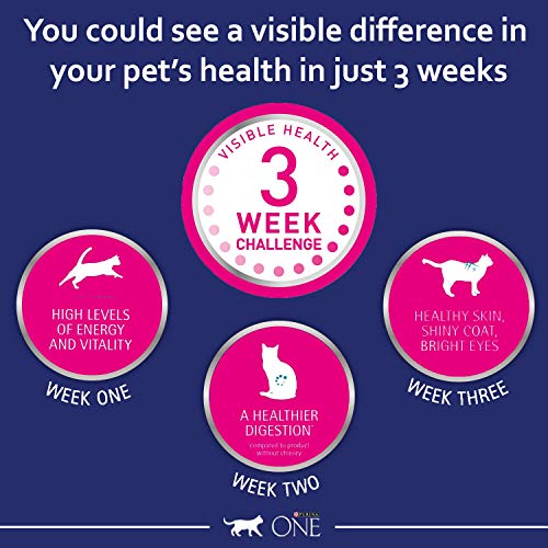 Purina One - Comida para gato seco de adulto, 6kg