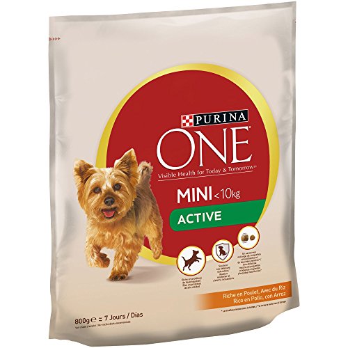 Purina ONE MINI Active Pienso para Perro Adulto Pollo y Arroz 8 x 800 g