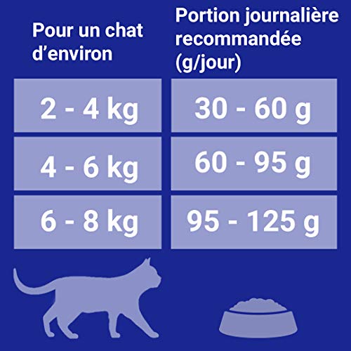 PURINA ONE – Pienso para Gatos Adulto Talla & Sabor Elegir 1,5 kg – Lote de 6 (9 kg)