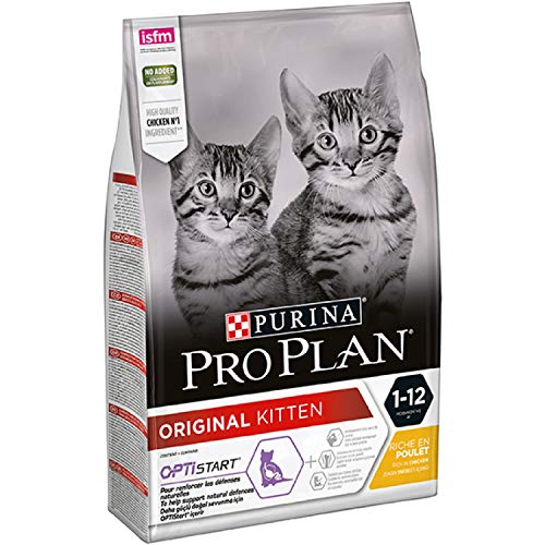 Purina ProPlan Junior pienso para Gato bebe, gatito con Pollo 4 x 3 Kg