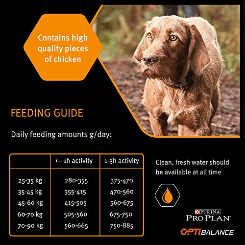 Purina ProPlan Large Adult Robust Balance pienso para perro Adulto 14 Kg