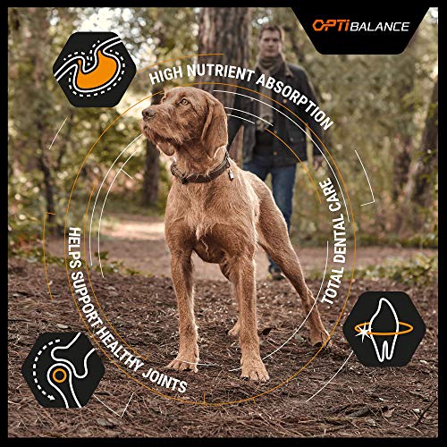 Purina ProPlan Large Adult Robust Balance pienso para perro Adulto 14 Kg