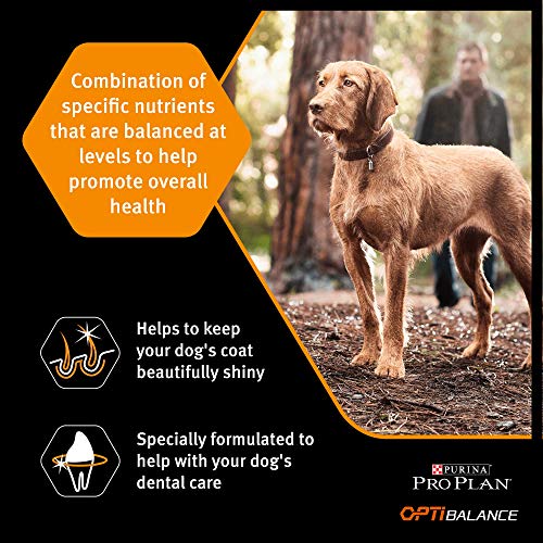 Purina ProPlan Large Adult Robust Balance pienso para perro Adulto 14 Kg