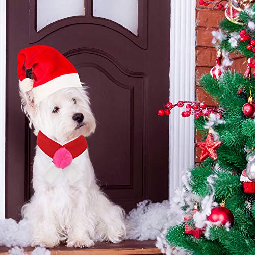 QKURT Disfraces de Navidad para mascotas, gorro de Papá Noel, bufanda para gatos y cachorros, disfraz de mascota Día de Acción de Gracias de Navidad, Año Nuevo