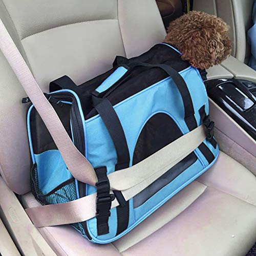 Queta Transportin Perro Gato Bolsa Transporte Gato Trasportines Gato para Perros Gatos Conejos Viaje Coche Aeronave Azul