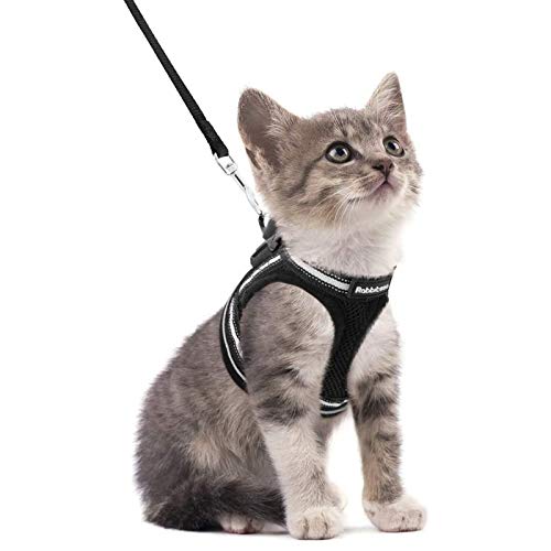 rabbitgoo Arnes Gatos y Correa 150cm Chaleco Ajustable Antitirones Reflectante Cómodo Correa Mágica para Fácil de Poner y Quitar para Paseo Diario Arnes para Perro Pequeño Conejos Gatos S Negro