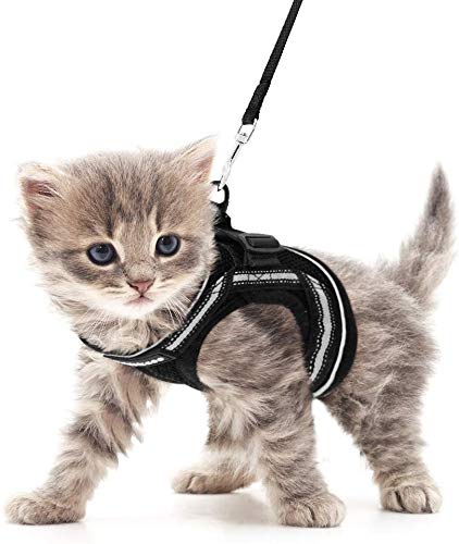 rabbitgoo Arnes Gatos y Correa 150cm Chaleco Ajustable Antitirones Reflectante Cómodo Correa Mágica para Fácil de Poner y Quitar para Paseo Diario Arnes para Perro Pequeño Conejos Gatos S Negro