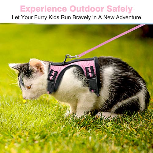 rabbitgoo Arnes para Gatos y Correa 150cm Chaleco Ajustable Reflectante Cómodo con 2 Correa Mágica para Fácil de Poner y Quitar para Paseo Diario Arnes para Perro Pequeño Conejos Gatos M Rosado