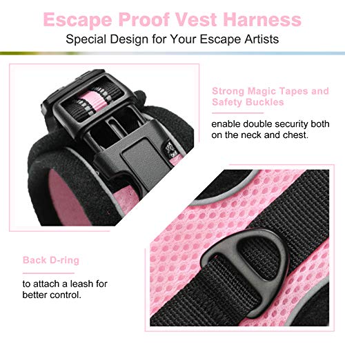 rabbitgoo Arnes para Gatos y Correa 150cm Chaleco Ajustable Reflectante Cómodo con 2 Correa Mágica para Fácil de Poner y Quitar para Paseo Diario Arnes para Perro Pequeño Conejos Gatos M Rosado