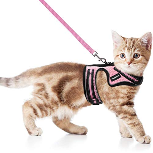 rabbitgoo Arnes para Gatos y Correa 150cm Chaleco Ajustable Reflectante Cómodo con 2 Correa Mágica para Fácil de Poner y Quitar para Paseo Diario Arnes para Perro Pequeño Conejos Gatos M Rosado