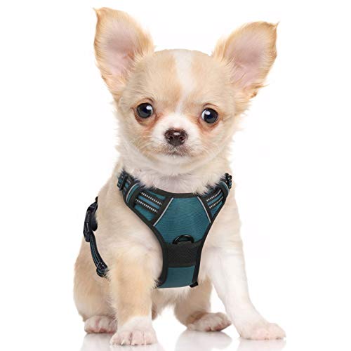 rabbitgoo Arnes Perros Grande Mediano Pequeño Arnés Pecho Antitirones Perros Coche con Lineas Reflectantes Cómodo Transpirable Chaleco Acolchado Ajustable para Adiesreamiento Tamaño S Verde Oscuro