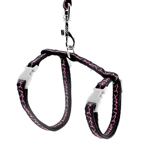Ranphy Arnés para perros pequeños con arnés para gatos y gatos, con correa ajustable para caminar, entrenar, correr, senderismo, color negro
